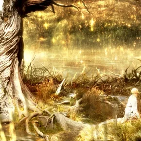 Photo du film : The fountain