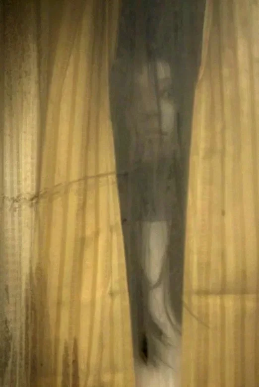 Photo 6 du film : The Grudge 2
