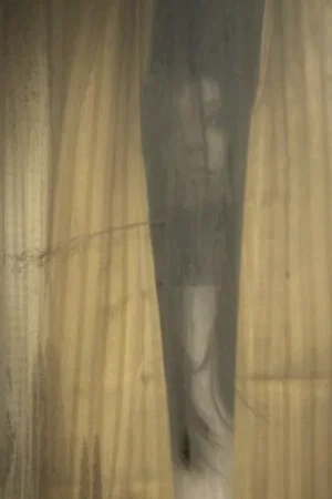Photo du film : The Grudge 2