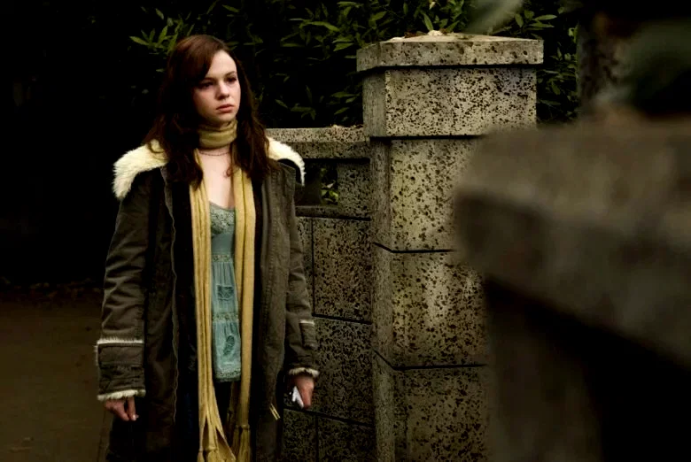 Photo 8 du film : The Grudge 2