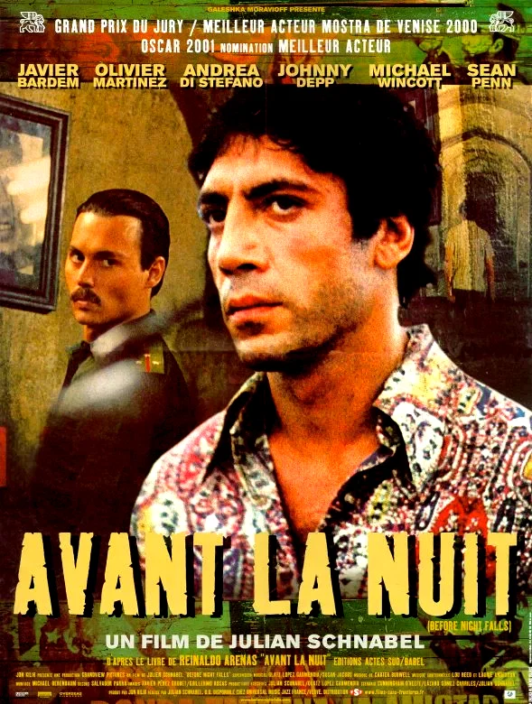 Affiche du film : Avant la nuit