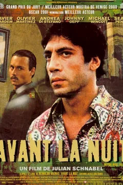Affiche du film Avant la nuit