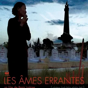 Photo du film : Les ames errantes