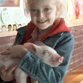 Photo du film : Le petit monde de charlotte