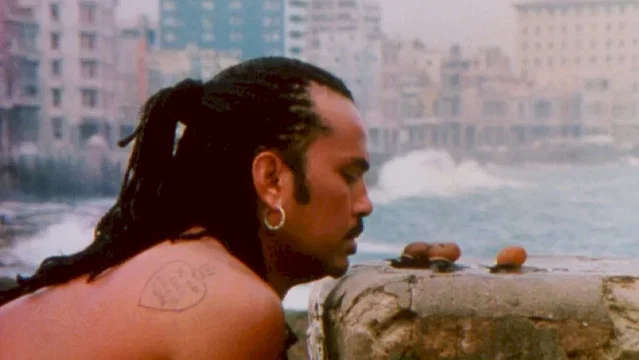 Photo du film : La vie c'est siffler