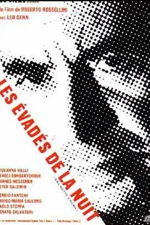 Affiche du film : Les évadés de la nuit