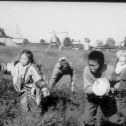 Miniature photo du film : 7 chants de la toundra