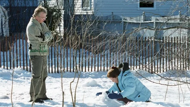 Photo 10 du film : Snow cake