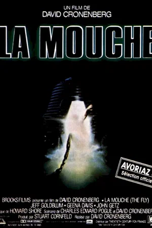 Photo du film : La mouche