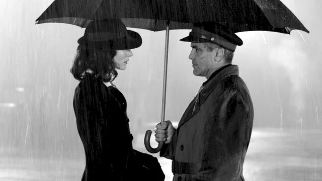 Photo du film : L'ami allemand