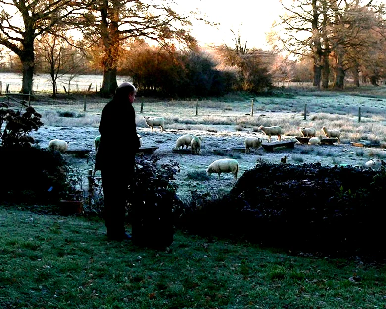 Photo du film : Il a suffi que maman s'en aille...
