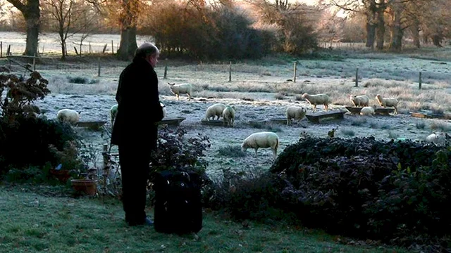 Photo 3 du film : Il a suffi que maman s'en aille...