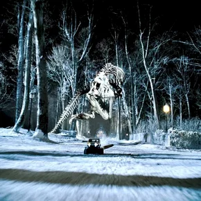 Photo du film : La nuit au musée