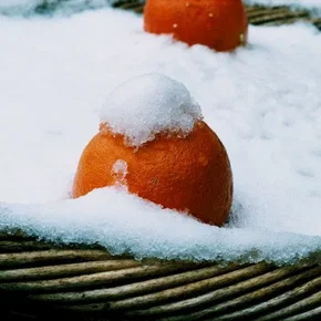 Photo du film : Jour apres jour
