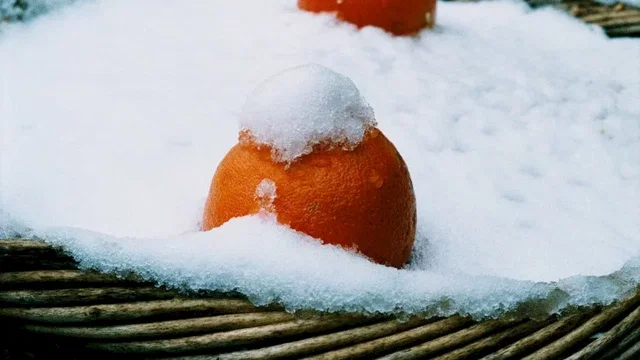Photo 4 du film : Jour apres jour