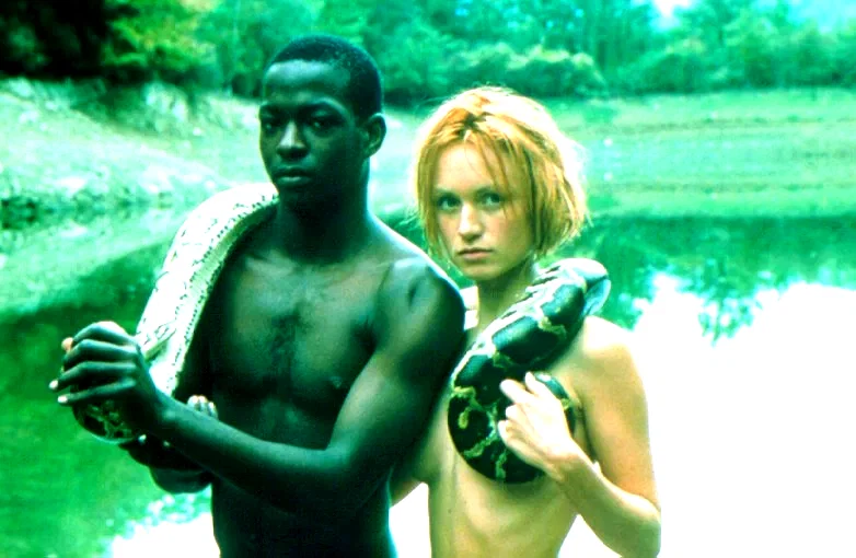 Affiche du film : La fin de l'innocence sexuelle