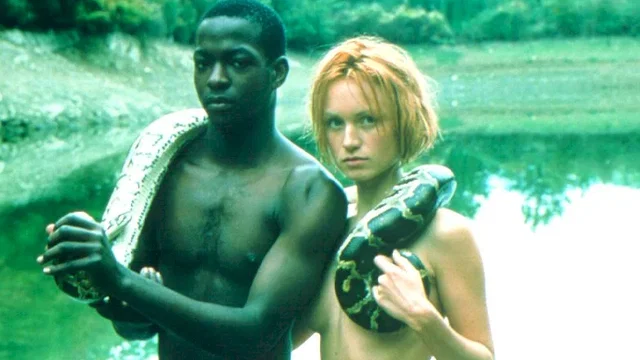Affiche du film : La fin de l'innocence sexuelle