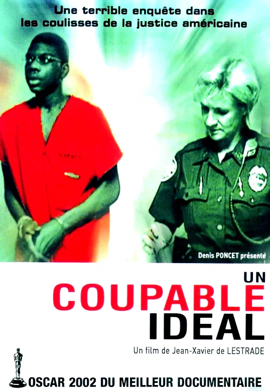 Affiche du film : Un coupable ideal