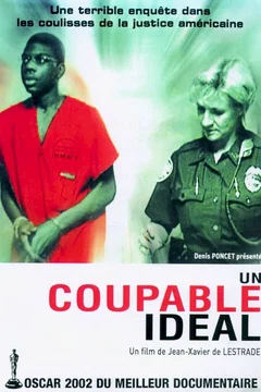 Affiche du film = Un coupable ideal