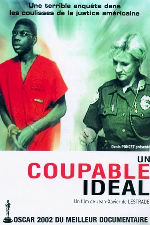 Affiche du film : Un coupable ideal