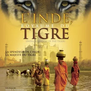 Photo du film : L'Inde, royaume du tigre