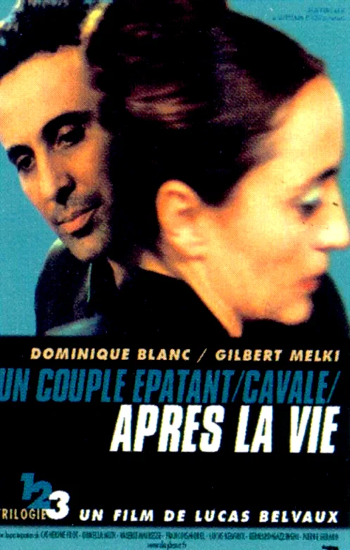 Affiche du film : Après la vie