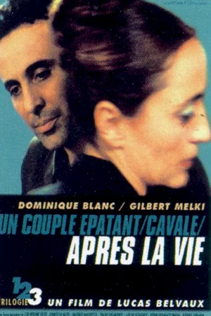 Affiche du film : Après la vie