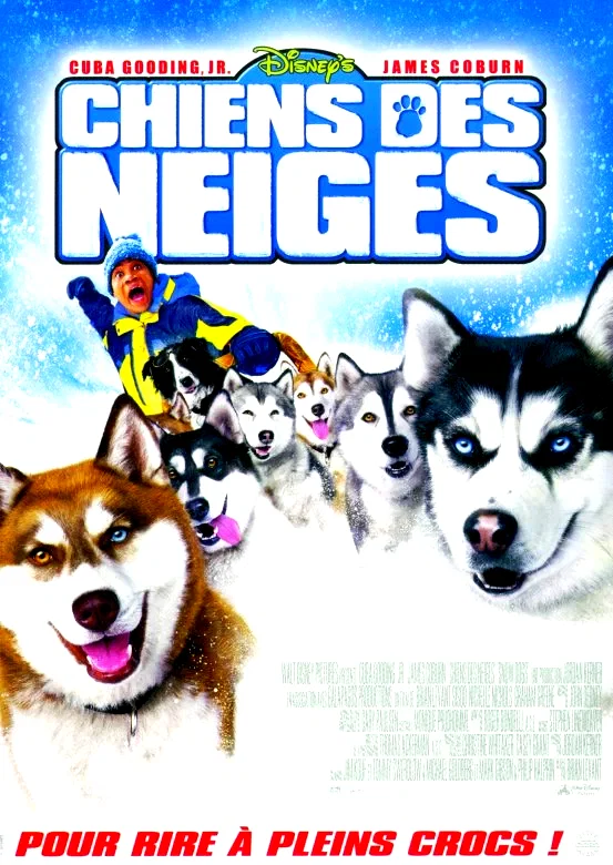 Affiche du film : Chiens des neiges