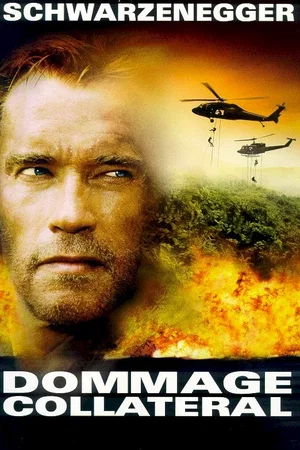 Affiche du film : Dommage collateral