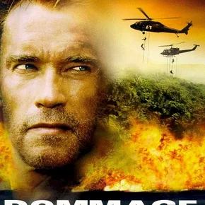 Photo du film : Dommage collateral