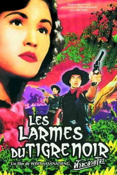 Affiche du film = Les larmes du tigre noir