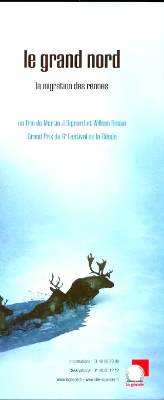 Affiche du film : Le grand nord la migration des rennes