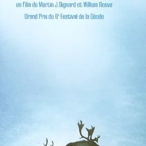 Photo du film : Le grand nord la migration des rennes