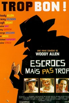 Affiche du film Escrocs mais pas trop