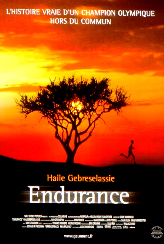 Affiche du film : Endurance