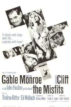 Affiche du film Les Désaxés