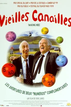 Affiche du film Vieilles canailles