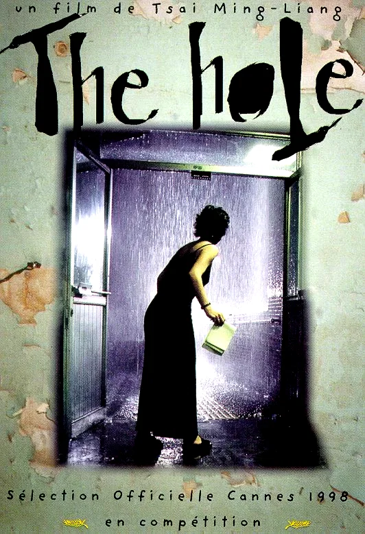 Affiche du film : The hole