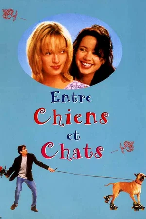 Affiche du film : Entre chiens et chats