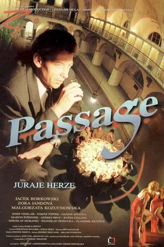 Affiche du film Passage