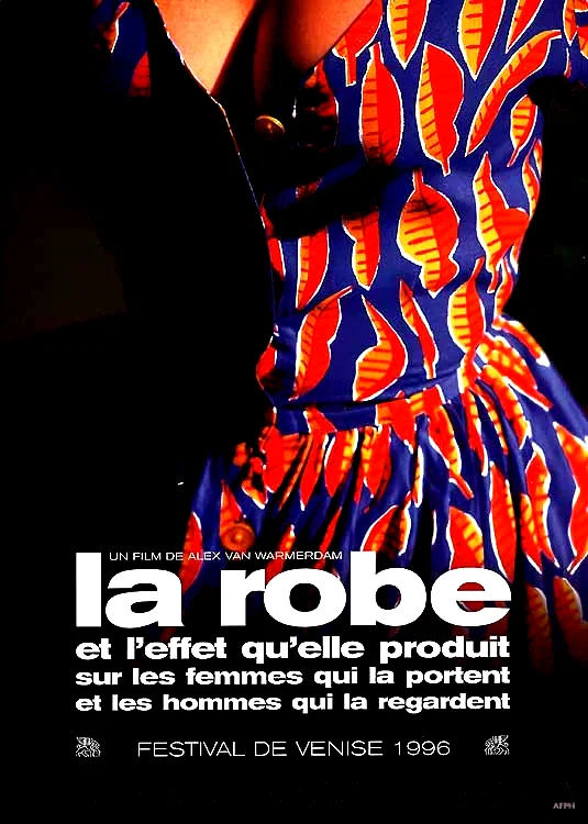 Affiche du film : La robe