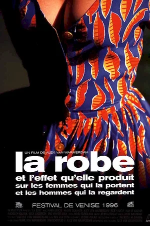 Affiche du film : La robe