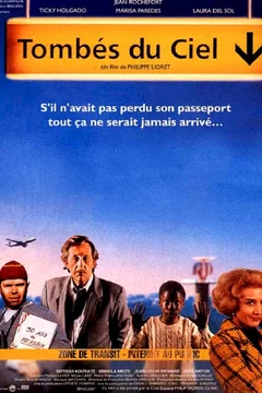Affiche du film Tombés du ciel