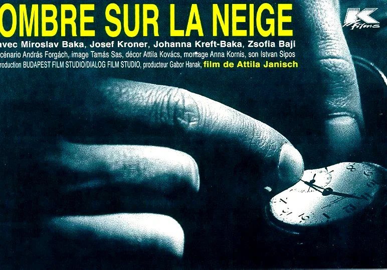 Affiche du film : Ombre sur la neige