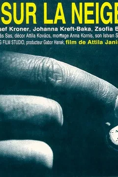 Affiche du film Ombre sur la neige