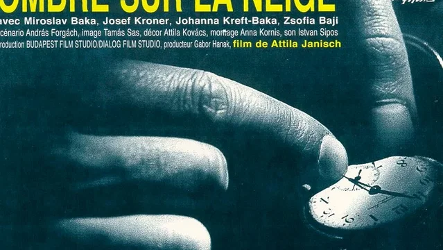Affiche du film : Ombre sur la neige