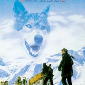 Photo du film : Croc blanc