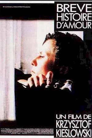Affiche du film : Brève histoire d'amour