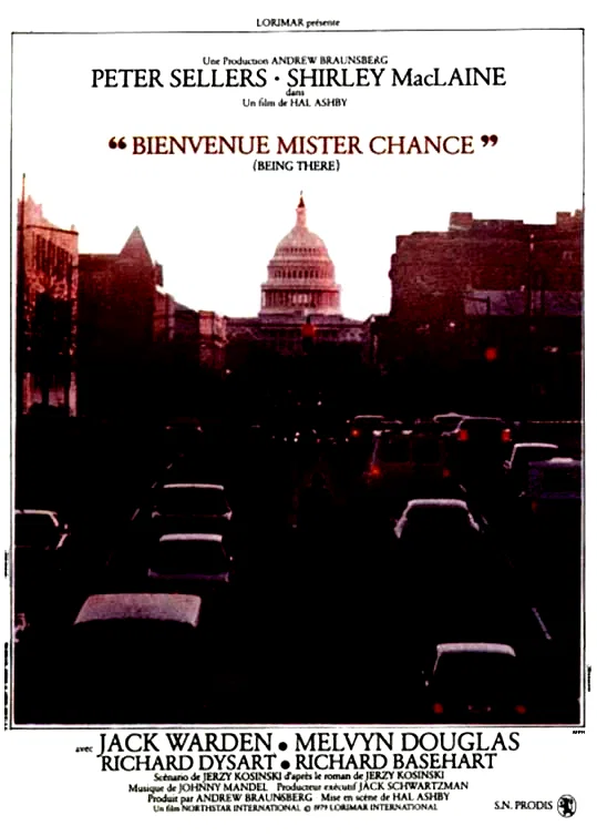 Affiche du film : Bienvenue Mister chance