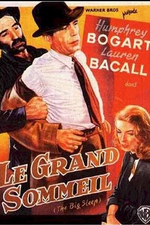 Affiche du film : Le grand sommeil